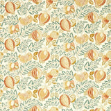 Sanderson Tyg Cantaloupe — Indoor Outdoor Prints
