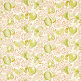 Sanderson Tygprov Cantaloupe