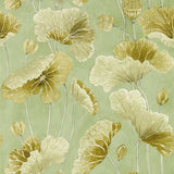 Sanderson Tapet Lotus Leaf