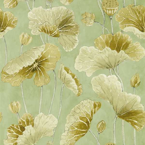Sanderson Tapet Lotus Leaf