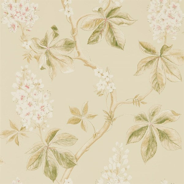 Sanderson Tapet Chestnut Tree