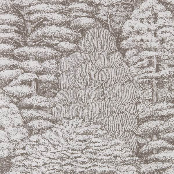 Sanderson Tapet Woodland Toile