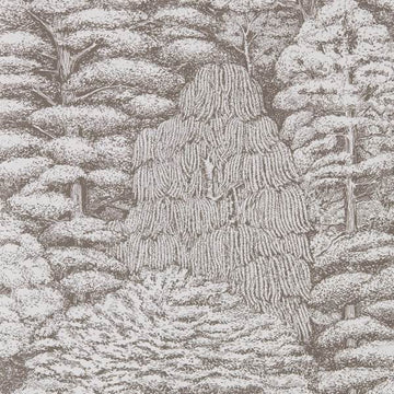 Sanderson Tapetprov Woodland Toile