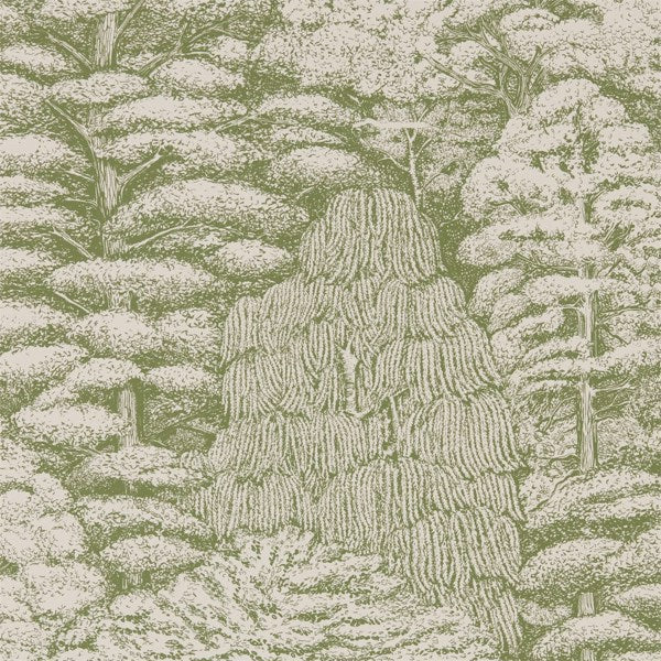 Sanderson Tapet Woodland Toile