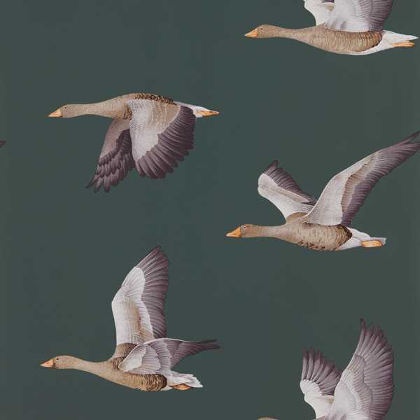 Sanderson Tapetprov Elysian Geese (Wallpaper)