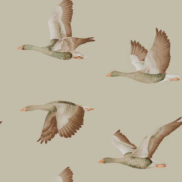 Sanderson Tapetprov Elysian Geese (Wallpaper)