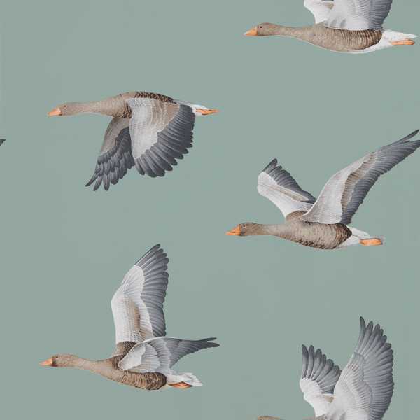 Sanderson Tapet Elysian Geese (Wallpaper)