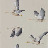 Sanderson Tapet Elysian Geese (Wallpaper)