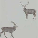 Sanderson Tapet Evesham Deer (Wallpaper) Tapetprov - Silver Grey
