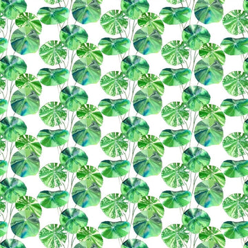 Brahmi Outdoor Tygprov