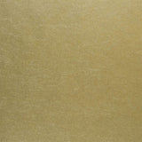 Ernani Gold — Designers Guild tapetprov