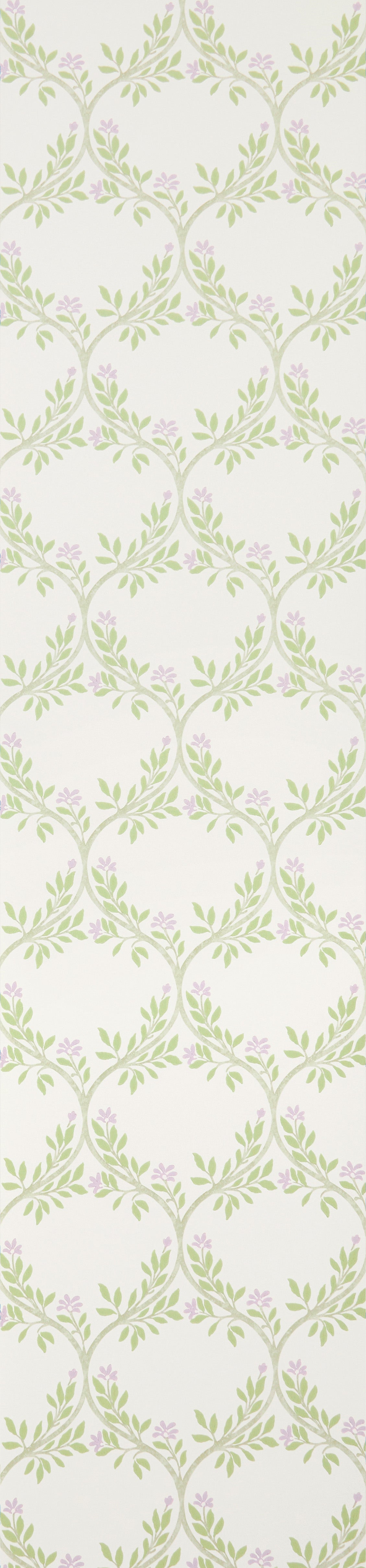 Arber Tapet