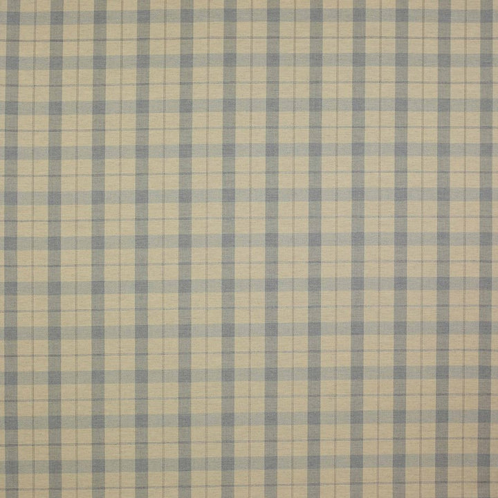 Finlay Check Fabric