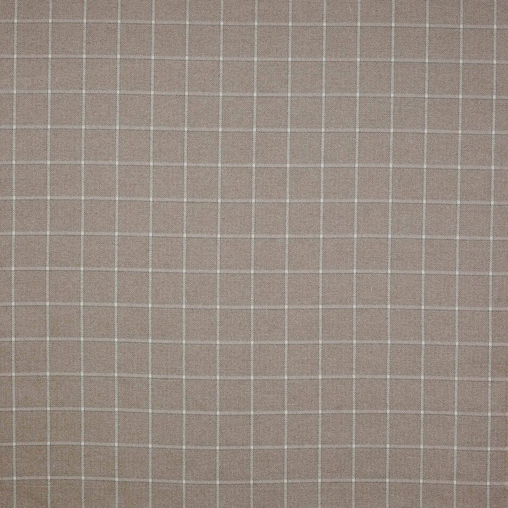 Linsmore Check Fabric