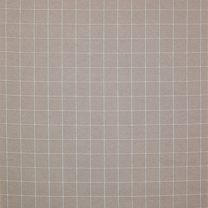 Linsmore Check Fabric