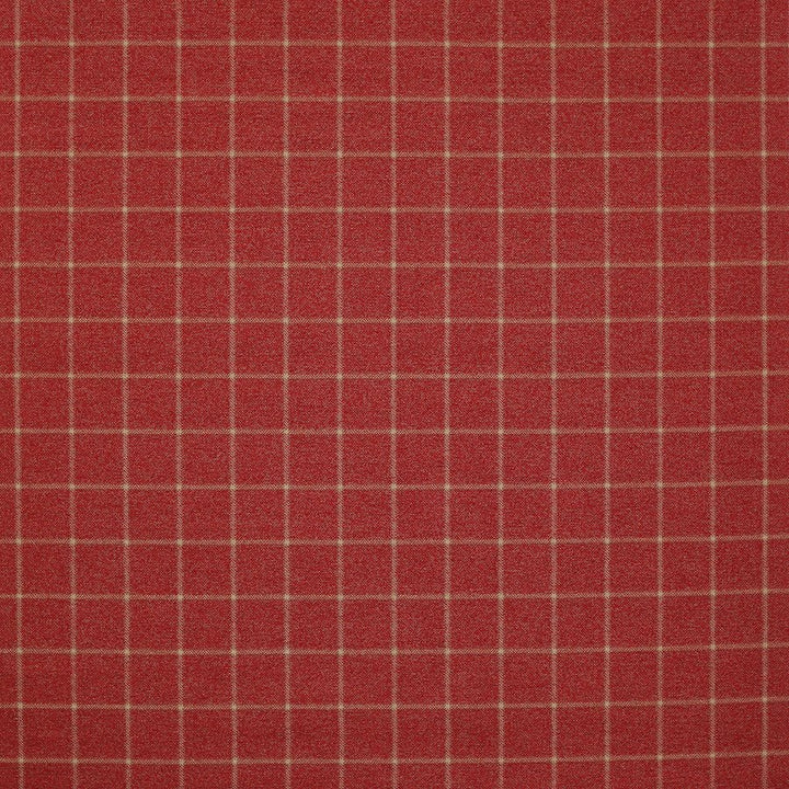 Linsmore Check Fabric