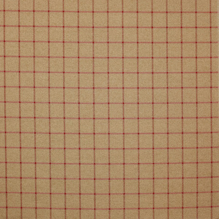 Linsmore Check Fabric