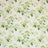 Leaf Grn