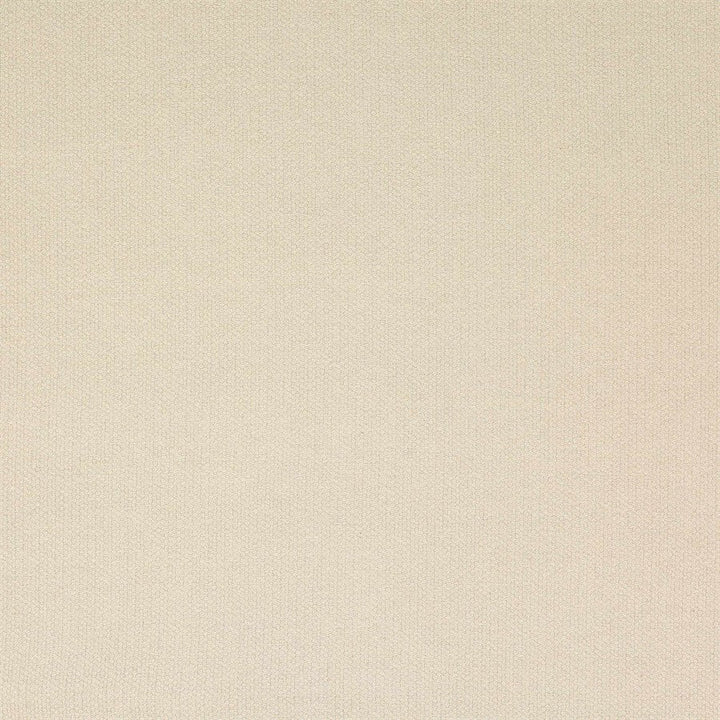 Studley Tygprov - Cream