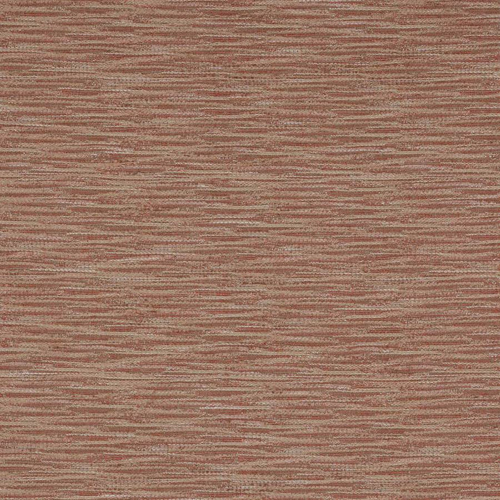 Roscoe Tygprov - Pink