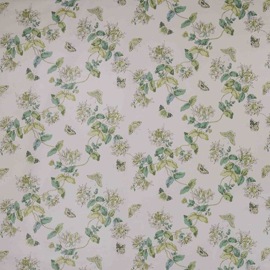 Honeysuckle — Ashdown
