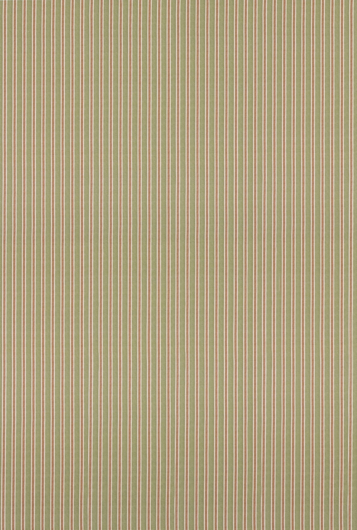 Somerton Stripe H Green tyg