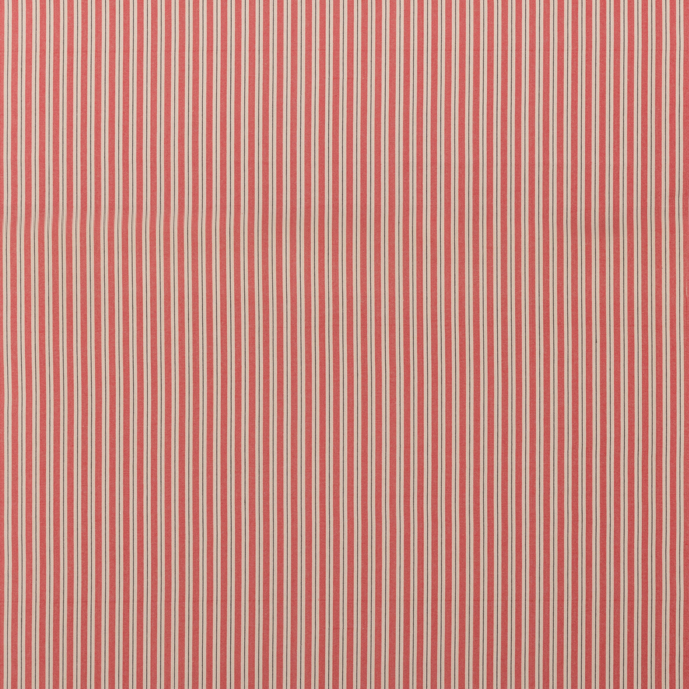 Compass Stripe H Red tyg