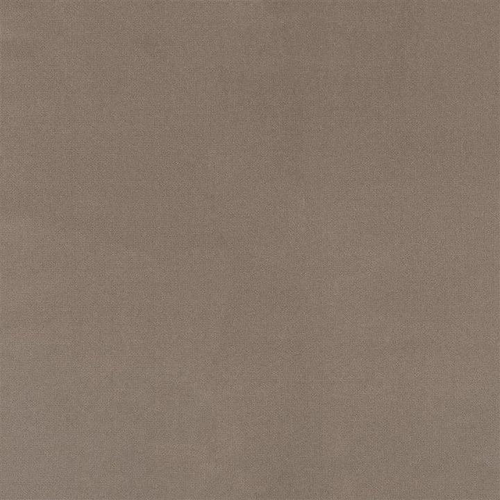 Riding Velvet Tygprov - Gray