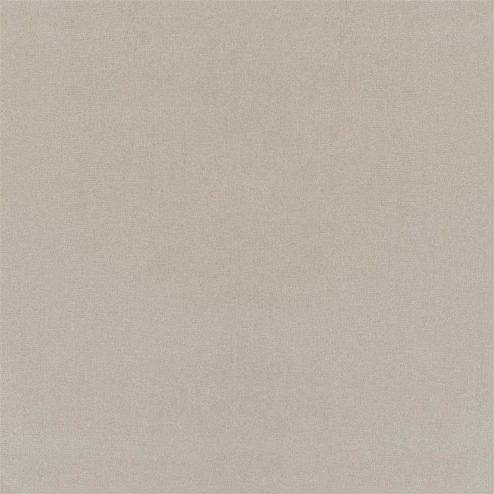 Riding Velvet Tygprov - Dove