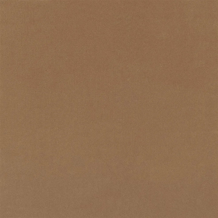 Riding Velvet Tygprov - Camel