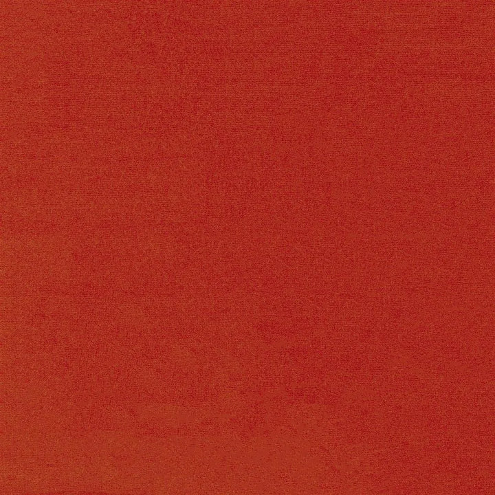 Riding Velvet Tygprov - Carrot