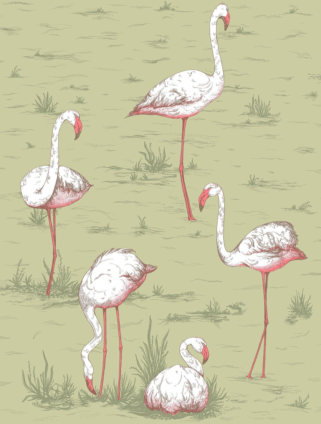 Flamingos Icons — Sample / Olive