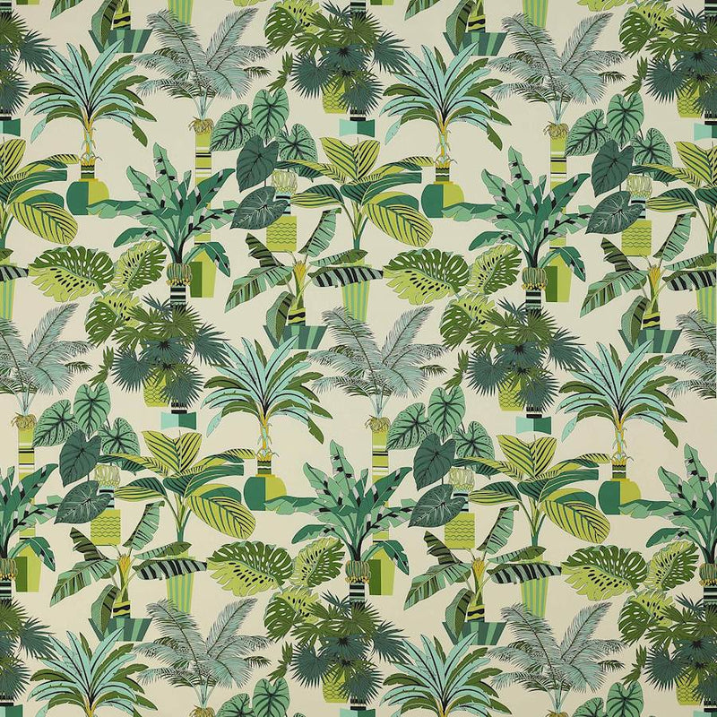 Florida Tyg — Manuel Canovas