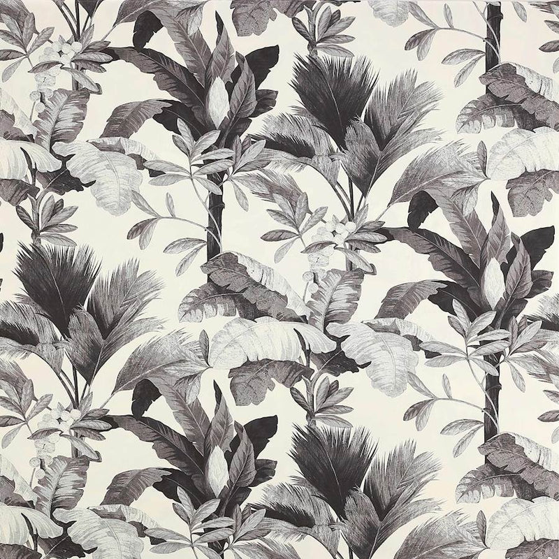 Salengro Tyg — Manuel Canovas