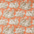Corail