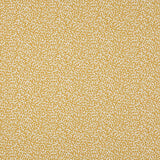 Apolline Soleil — Manuel Canovas tygprov