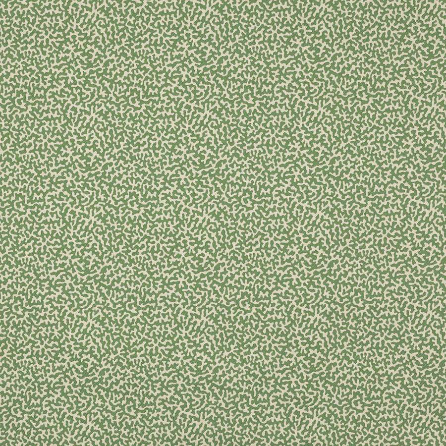 Apolline Prairie — Manuel Canovas tygprov