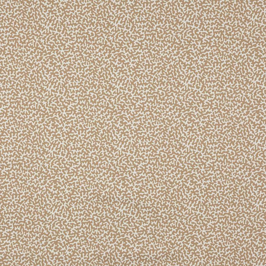 Apolline Dune — Manuel Canovas tygprov