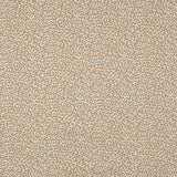 Apolline Dune — Manuel Canovas tygprov