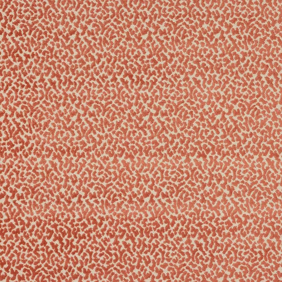 Tobago Corail — Manuel Canovas tygprov