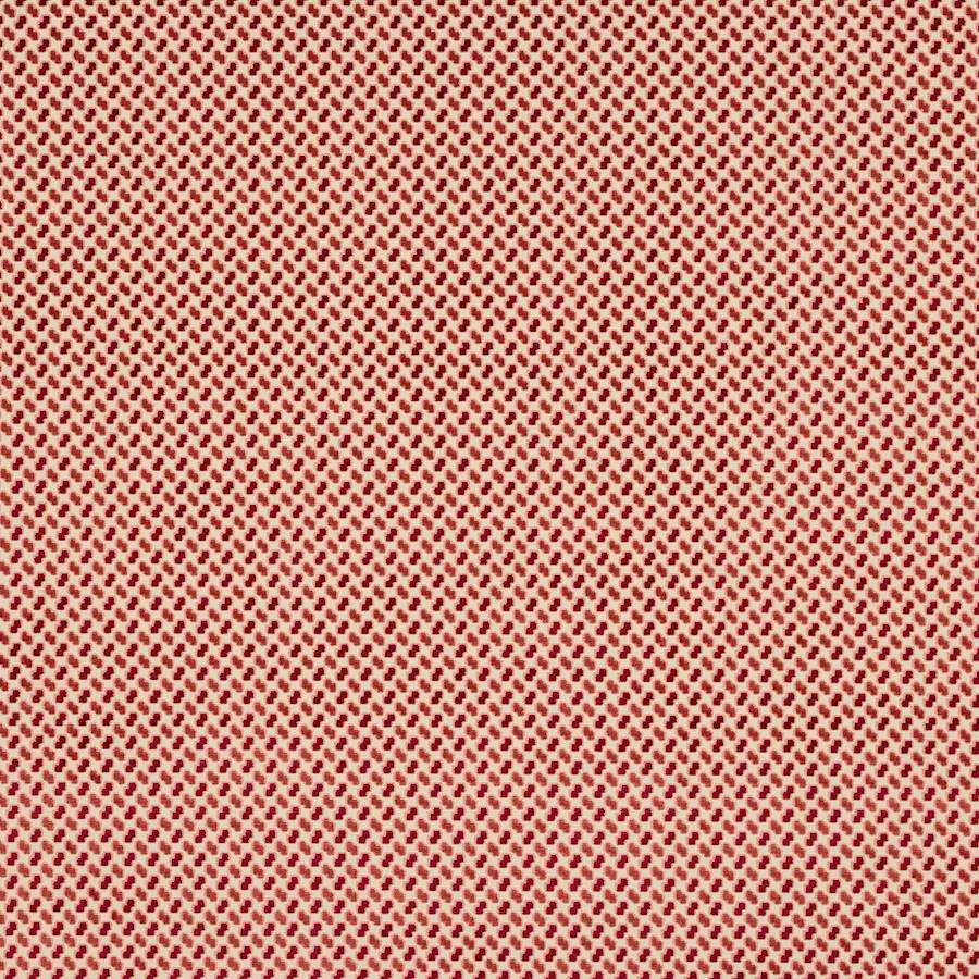 Minos Cardinal — Manuel Canovas tygprov
