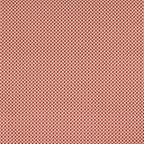 Minos Cardinal — Manuel Canovas tygprov