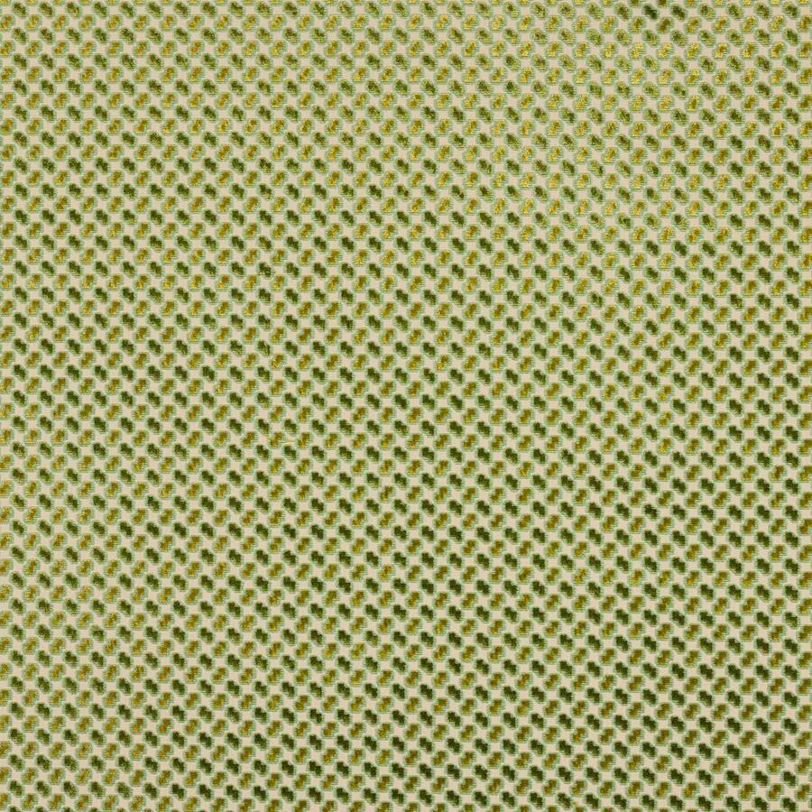 Minos Prarie — Manuel Canovas tygprov