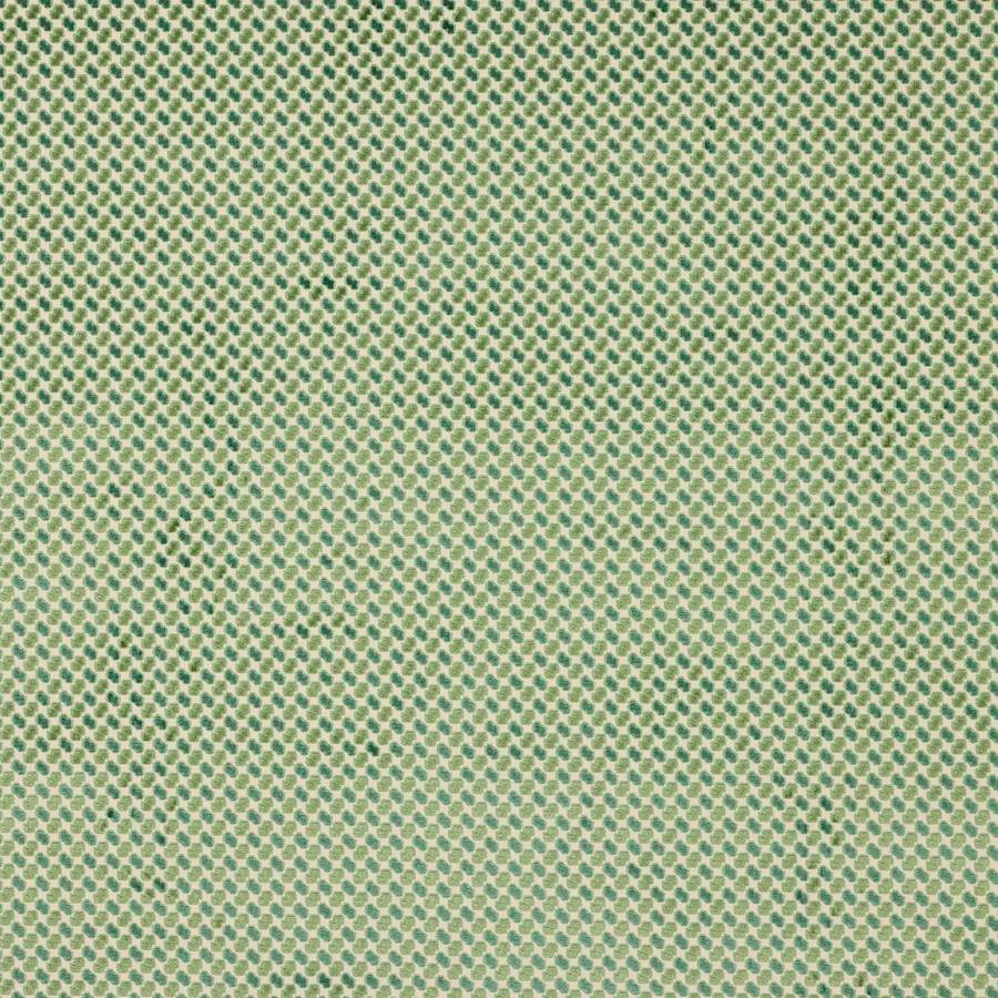 Minos Paon — Manuel Canovas tygprov