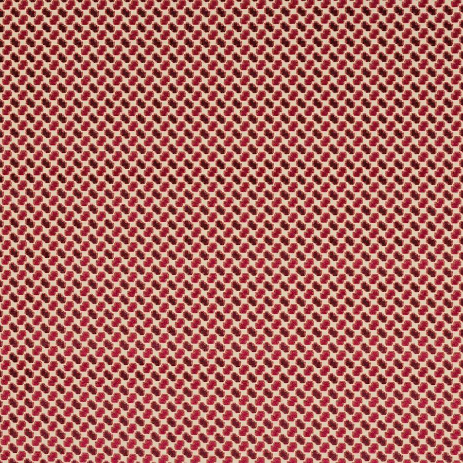 Minos Prune — Manuel Canovas tygprov