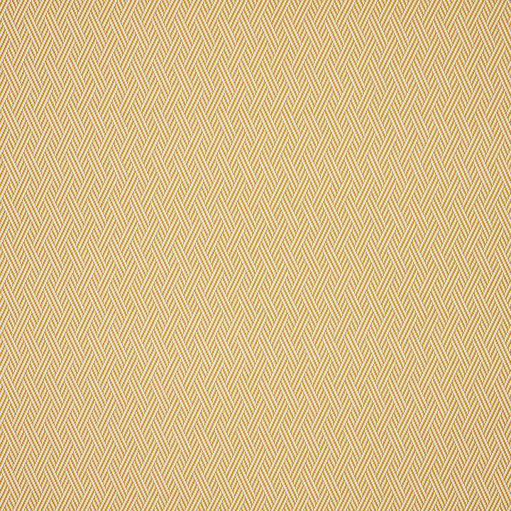 Roya Soleil — Manuel Canovas tyg