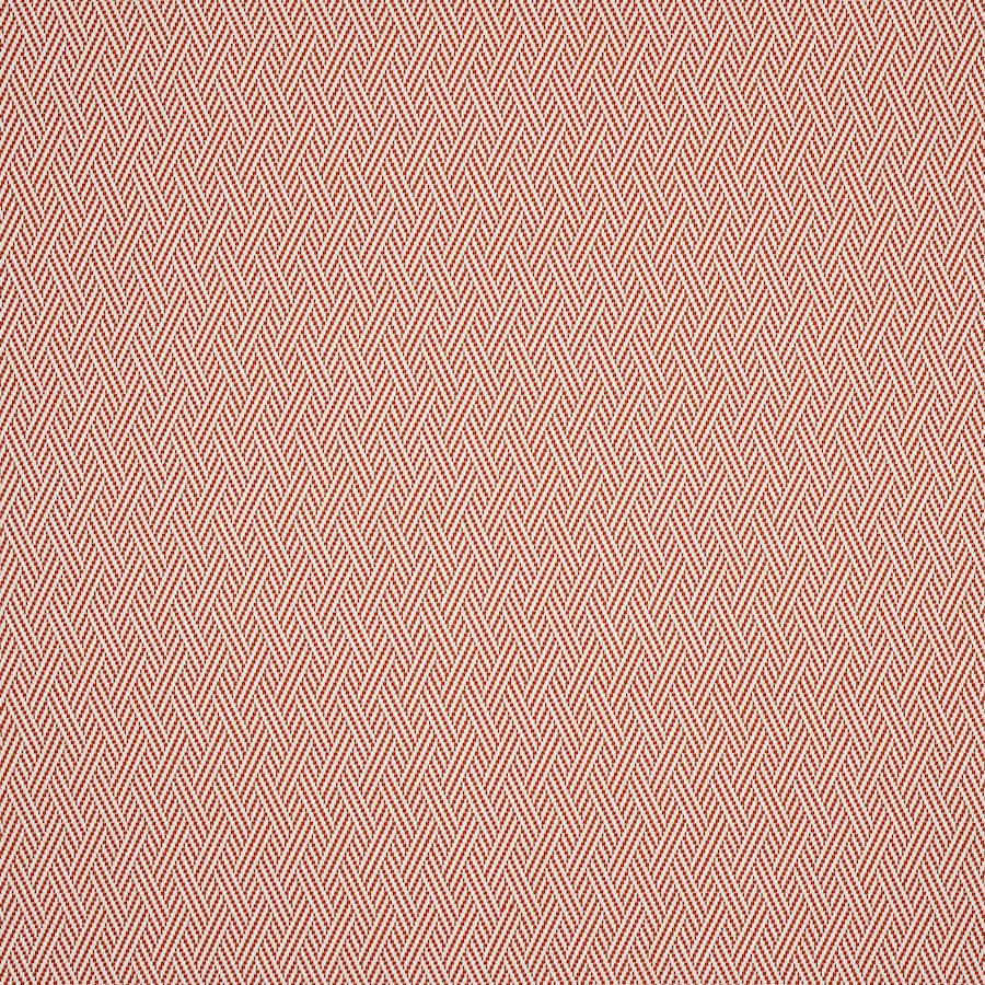 Roya Tygprov — Manuel Canovas