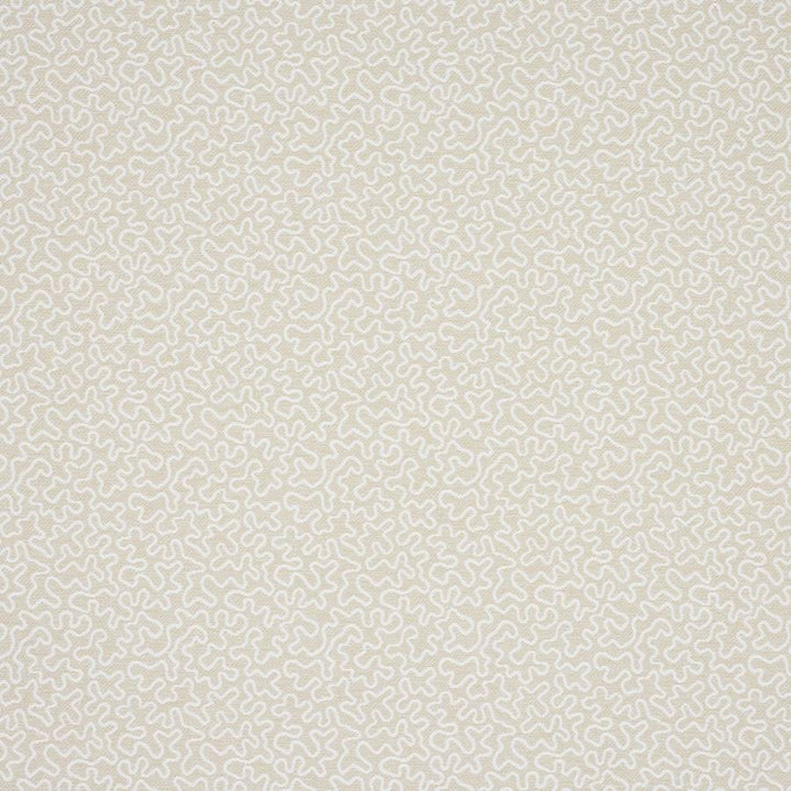 Corti Blanc — Manuel Canovas tyg