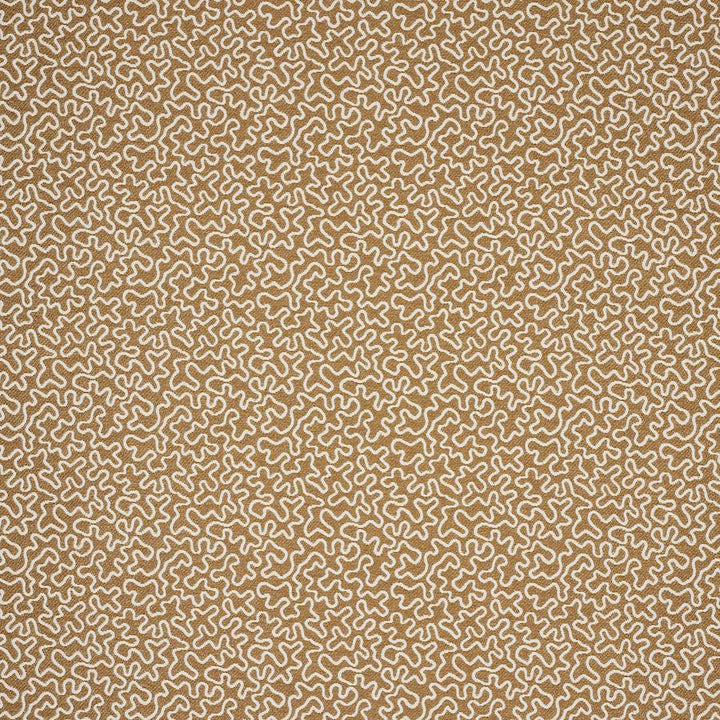 Corti Camel — Manuel Canovas tygprov