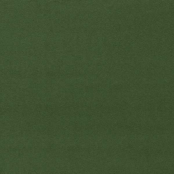 Morris & Co Tygprov Wardle Velvet